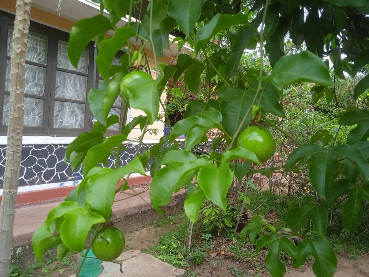 Sanaya Homestay Тангале Екстериор снимка